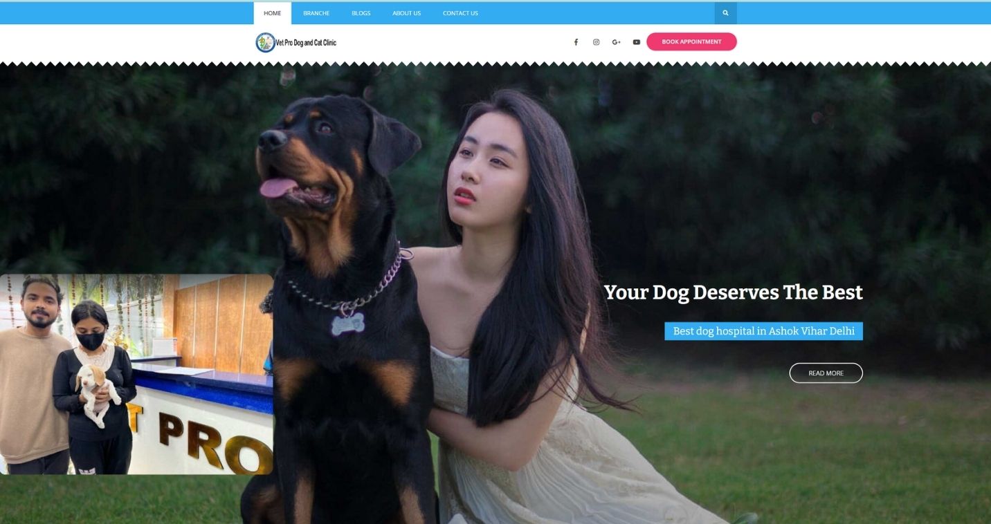 Pet clinic website design by Digital360Market